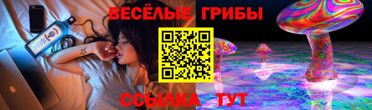 Черкесск  Галлюциногенные грибы мицелий  Галлюциногенные грибы Psilocybe  Вход с VPN 