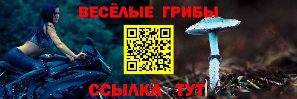 Галлюциногенные грибы мицелий Черкесск