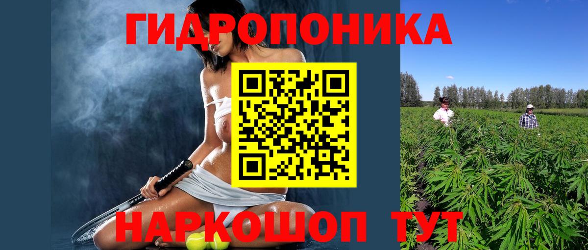 Черкесск  Каннабис Amnesia  Вход с VPN  Бошки марихуана Amnesia  Шишки марихуана гибрид 